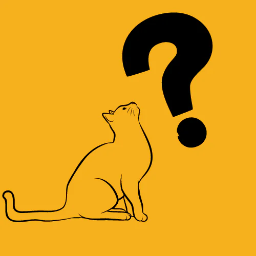 Beatandraise Com logo