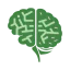 Finance Brain