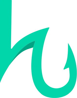 Hooksense logo