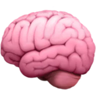 Neuronest