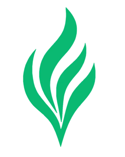 Northlightai