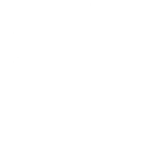 Polybacktest logo