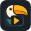 Toucanaiai logo