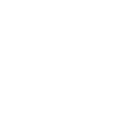 Vectify