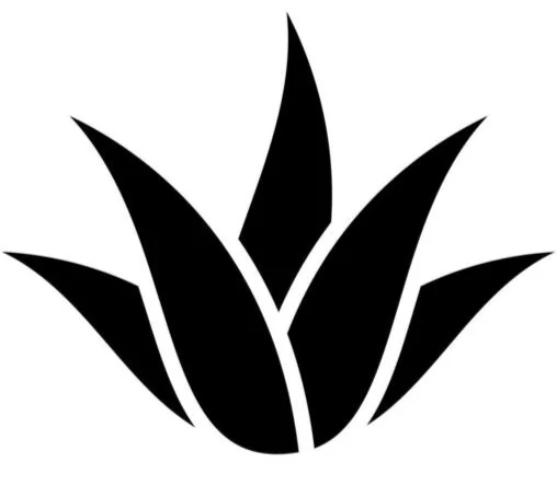Verahqai logo