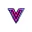 Vidgoai logo