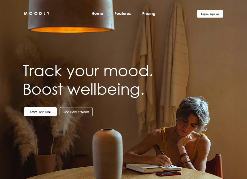 10Web target audience example