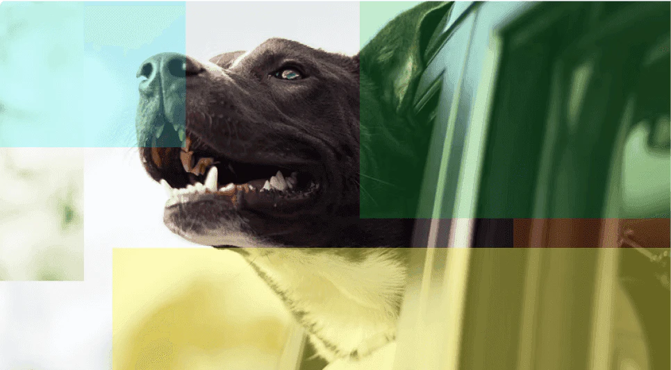 4DDiG Photo Repair feature demonstration