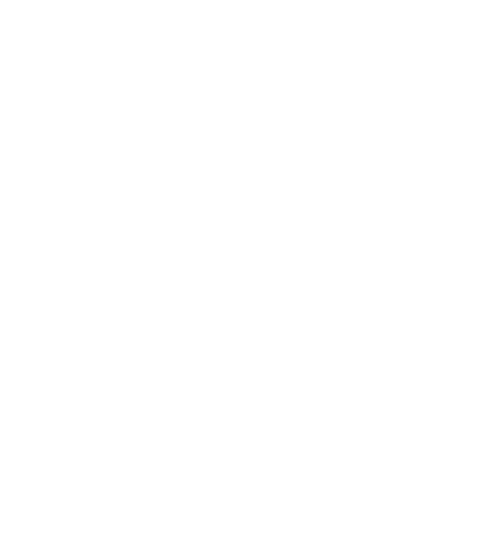 5daysprint product overview