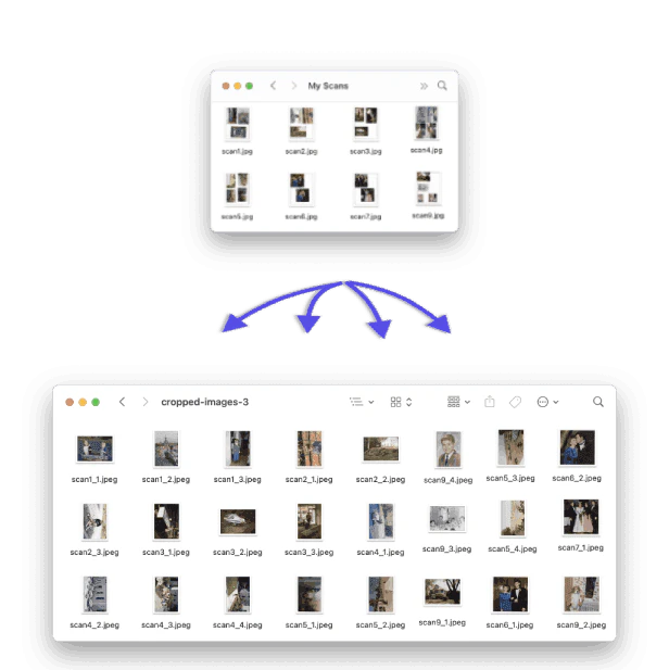 AI Crop Image feature demonstration