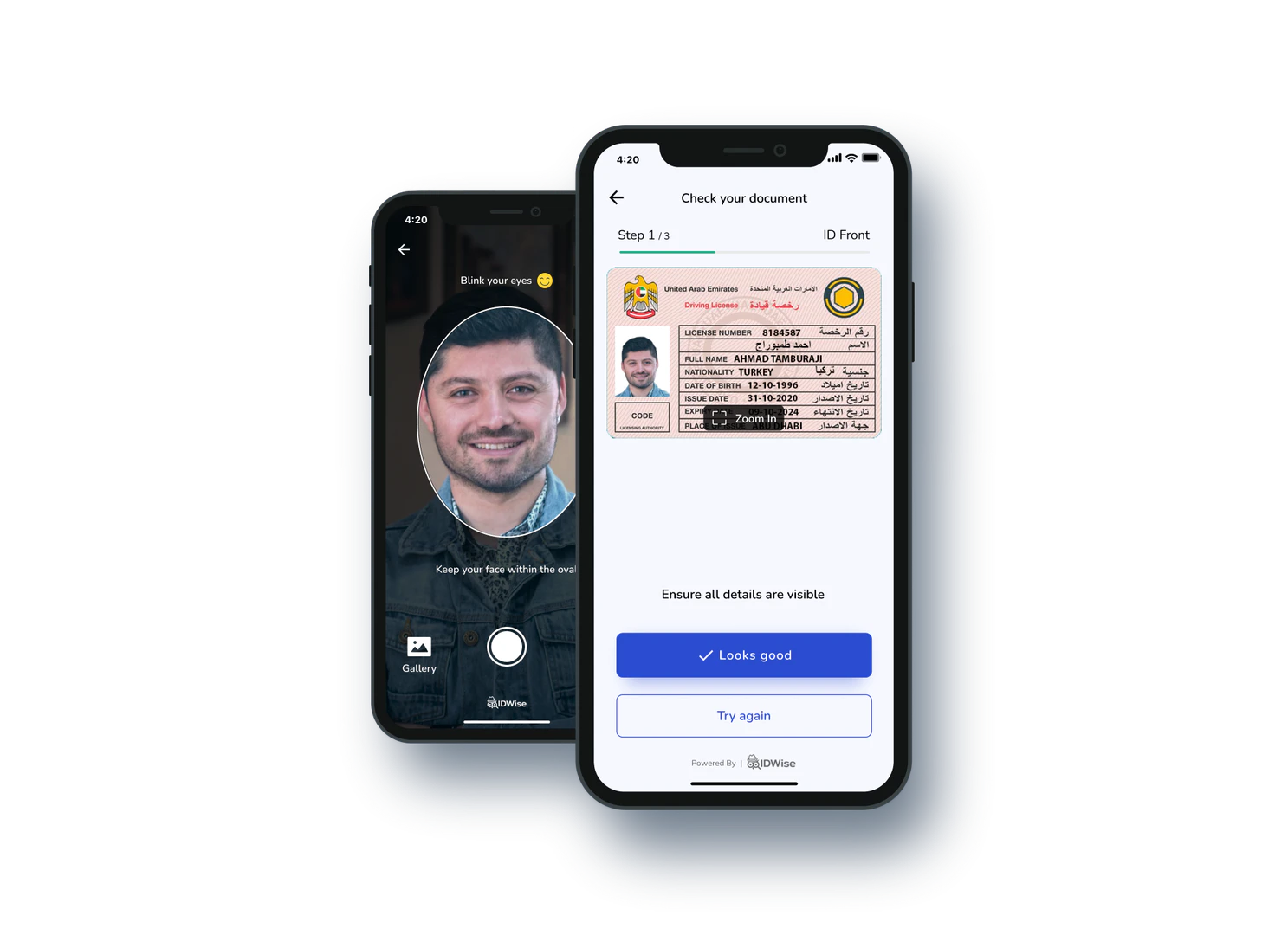AI Detector product overview and interface