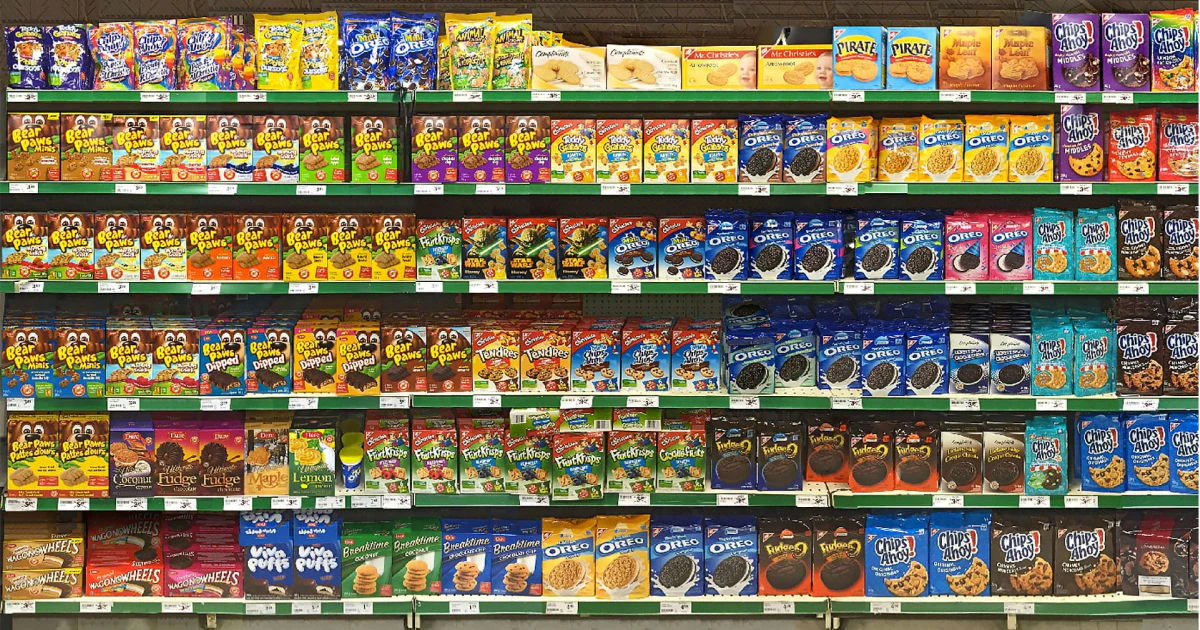 AI Image Recognition product overview