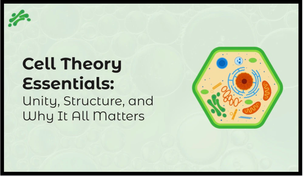 AI Notes Generator feature demonstration