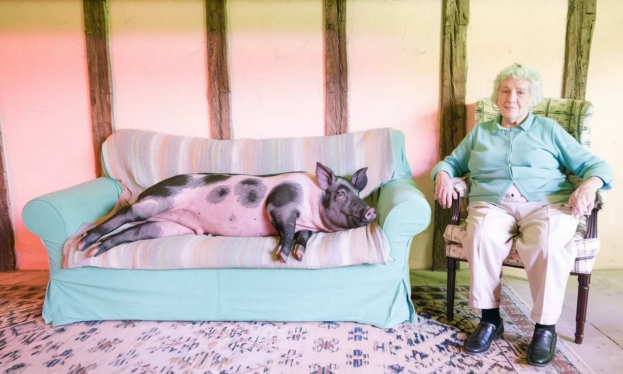 Aikungfu feature demonstration