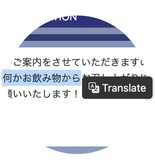 Ailingoplay instant translation feature