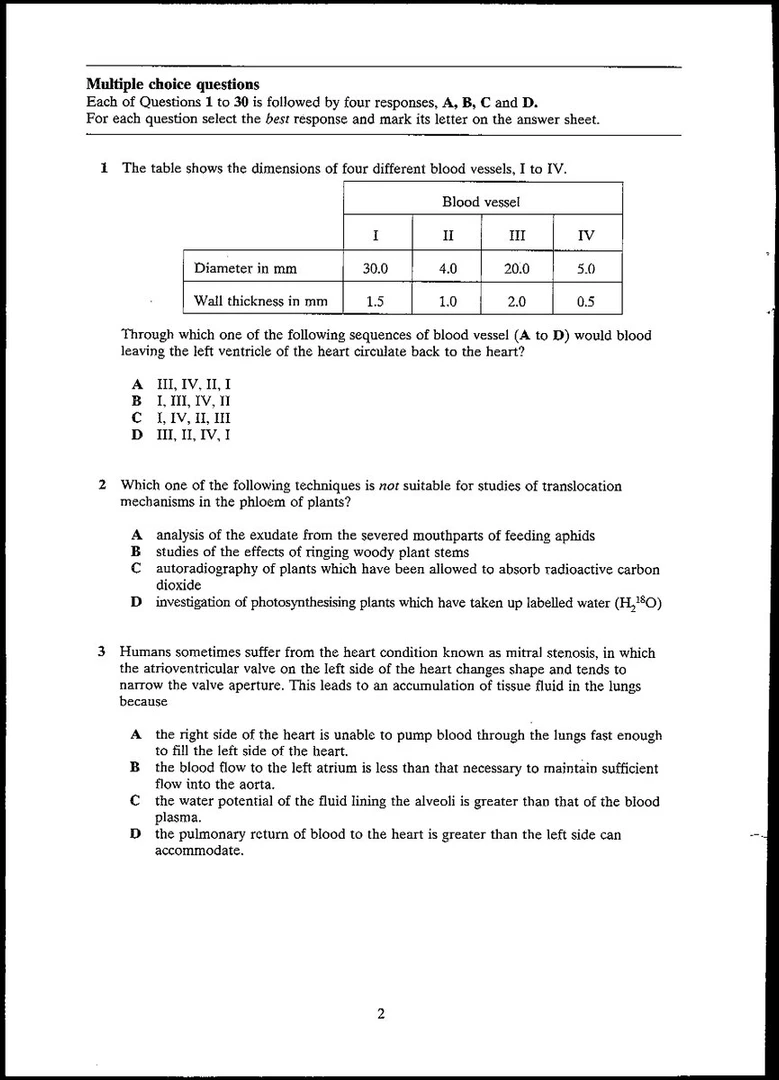 AI Picture Answer use case example