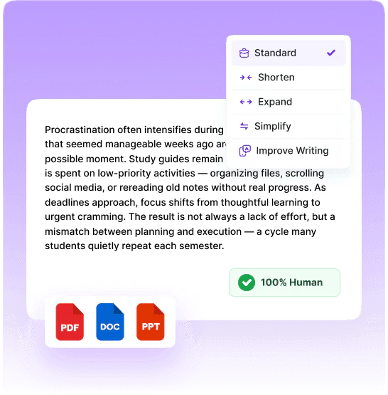 Aiseo LLM Optimizer feature demonstration