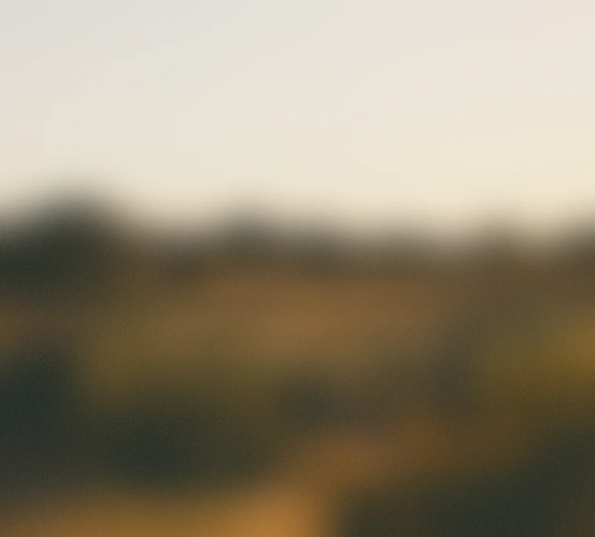 Akkio use case example demonstrating audience segmentation