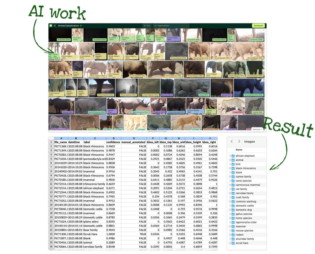 Animal Detect product interface overview