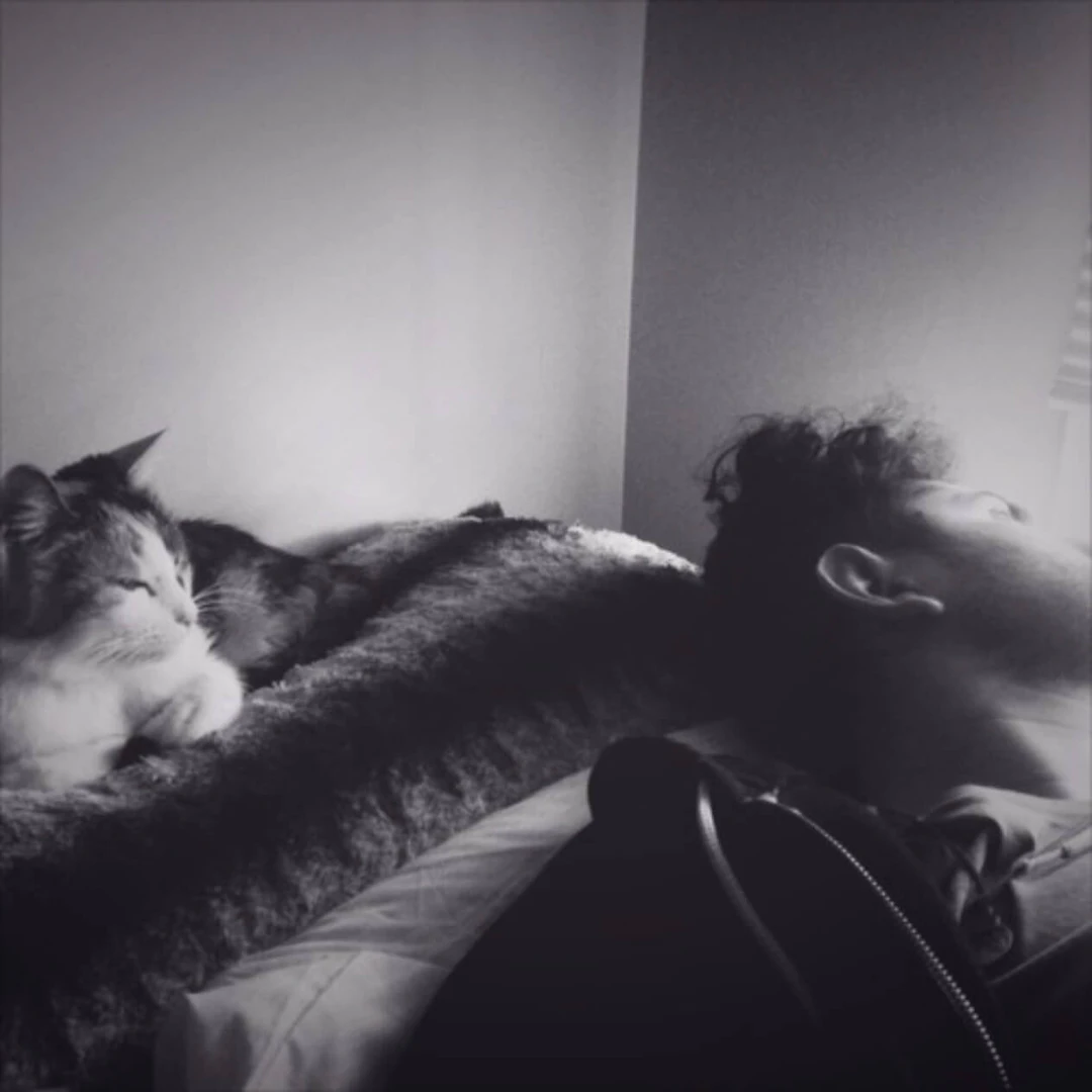 Audioshake product interface overview