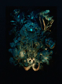 Beatoven Ai feature interface