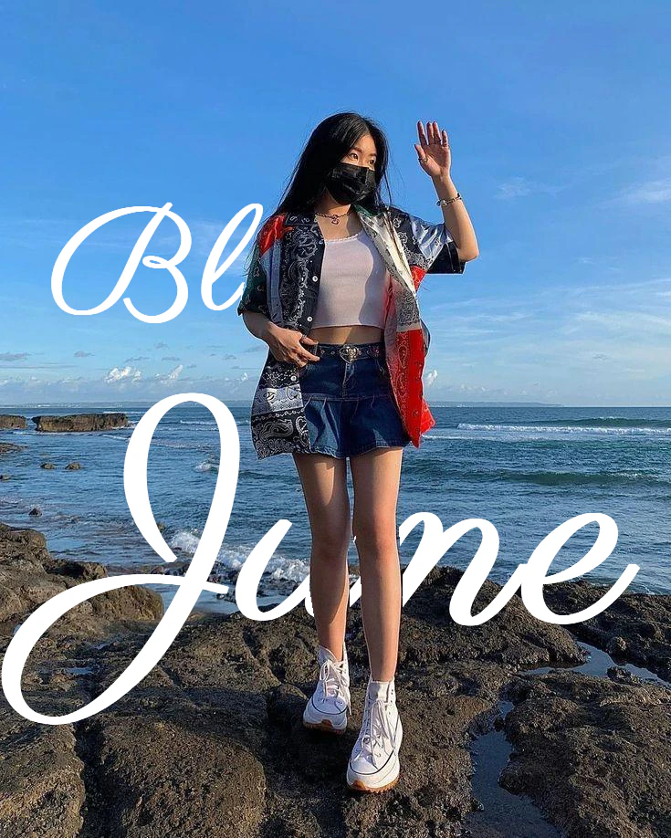 BehindIMG product interface overview