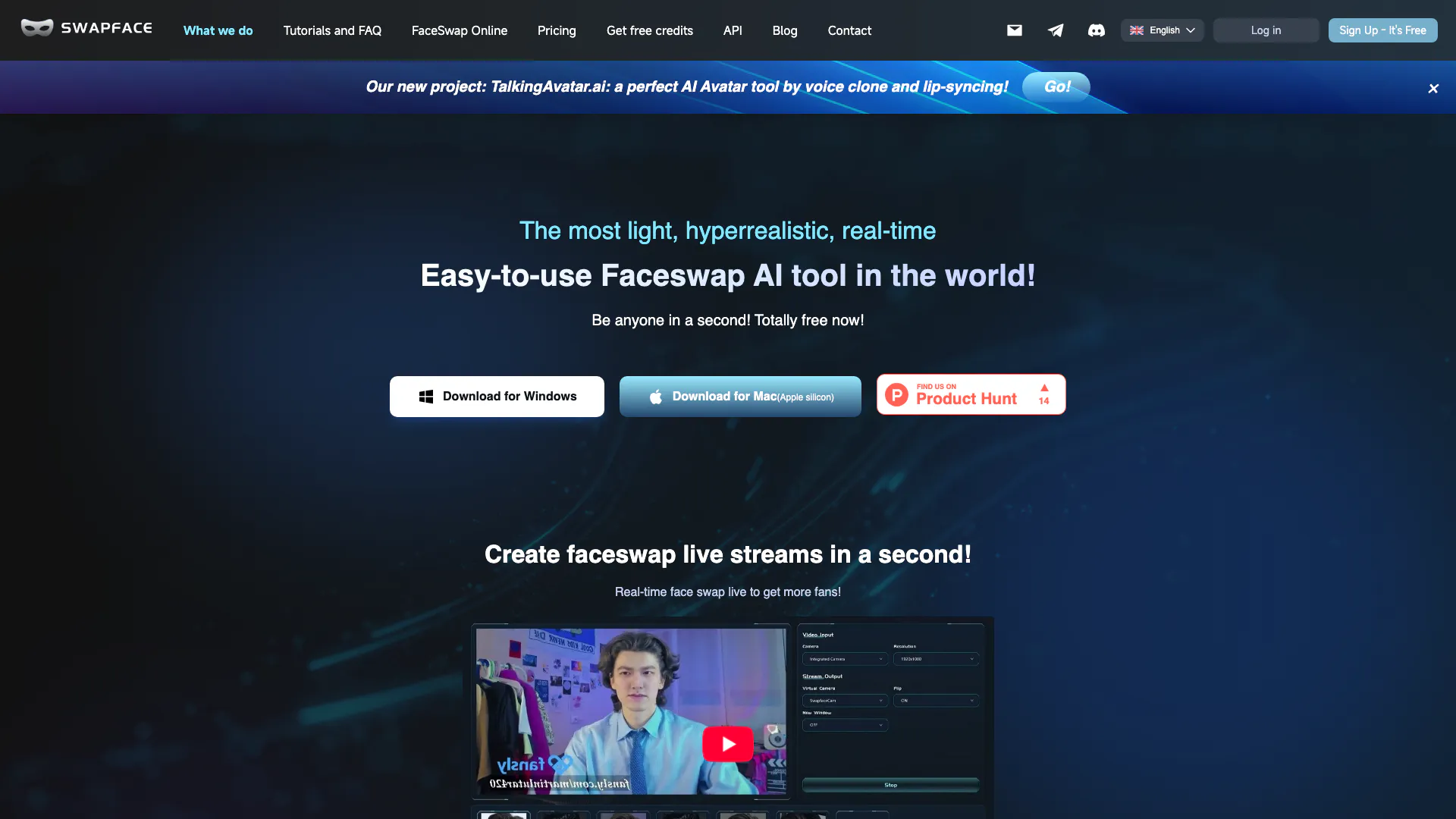 Swapface Org screenshot