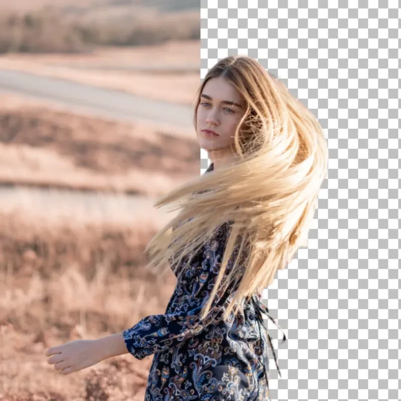 BgSub product interface showing background removal