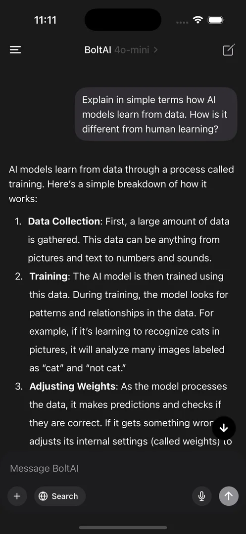 BoltAI user scenario image