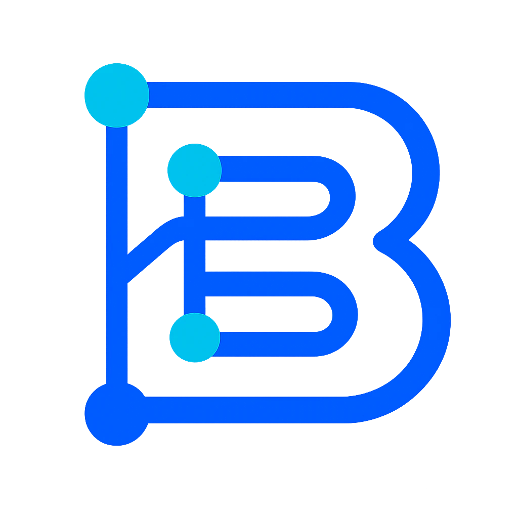 Brandiseer product interface overview