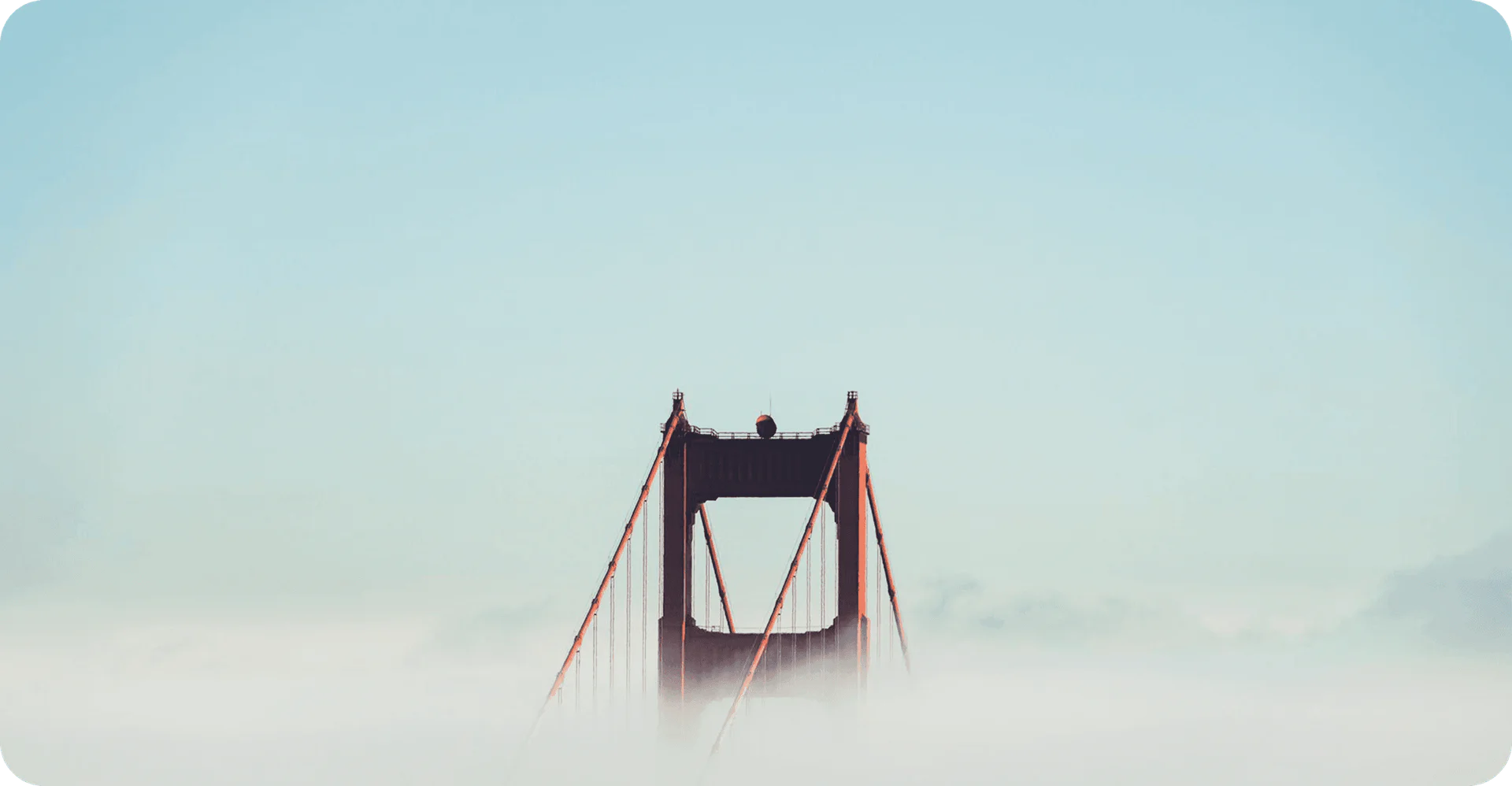 buzzabout product overview and interface