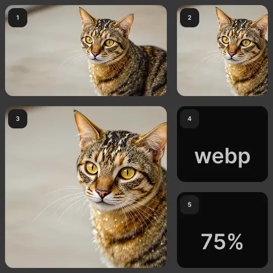 Ceacle user scenario image