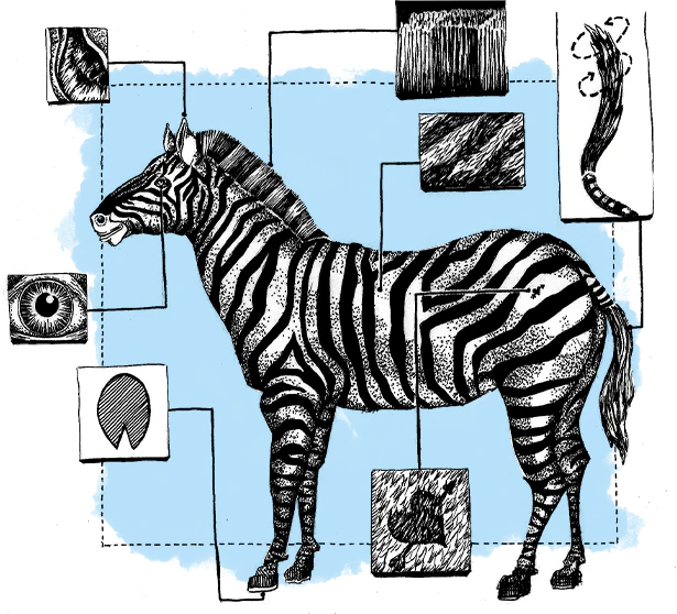 Shugert custom content production scenario
