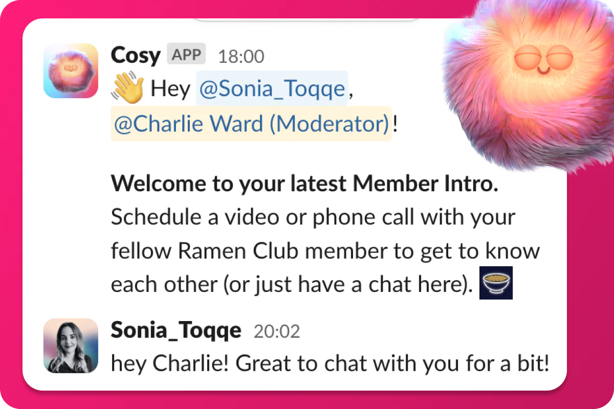 Cosy member connection feature