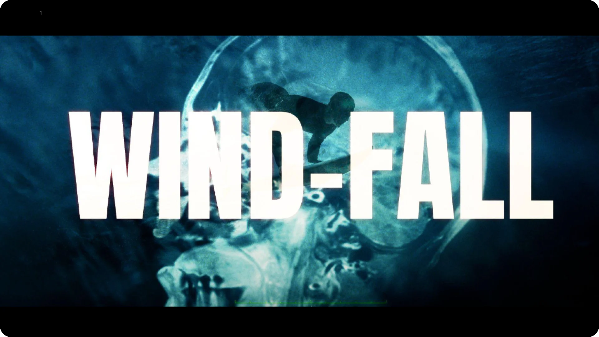 Deckbirdai product interface overview