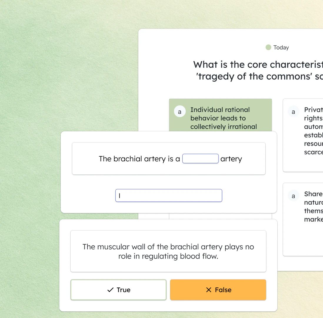 Dendeai user scenario image
