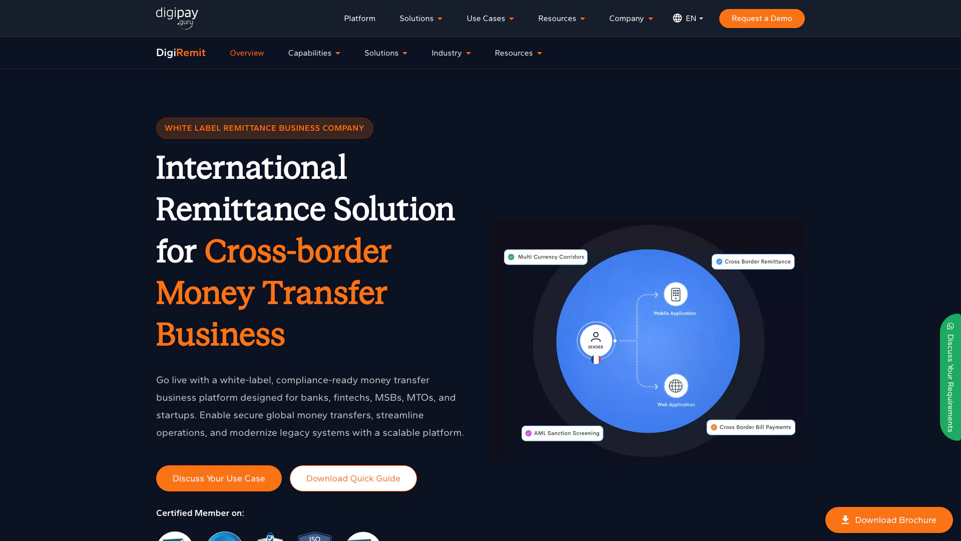 Digipay website screenshot showing DigiPay delivers secure and scalable cro... interface and features