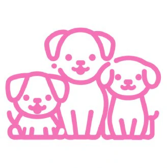 Multiple variations feature of Drawmy