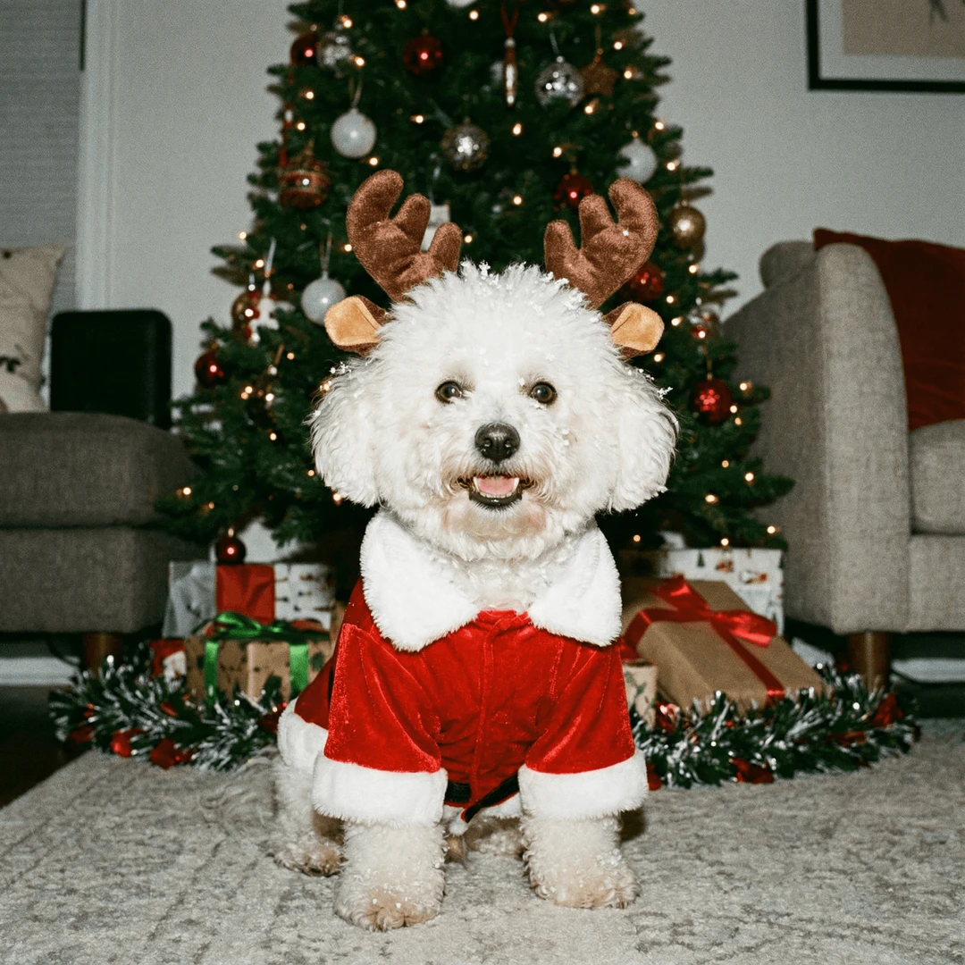 Easy Peasy Ai use case example