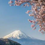 Easytrip.ai feature demonstration showing suggested activities and events