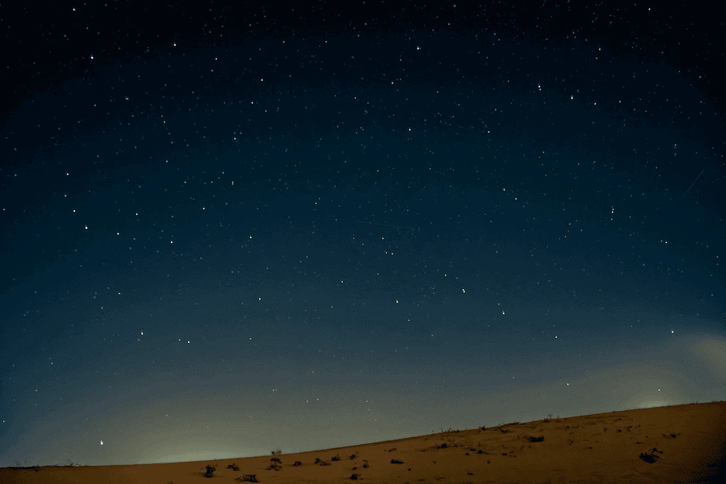 EraseVideo product interface overview