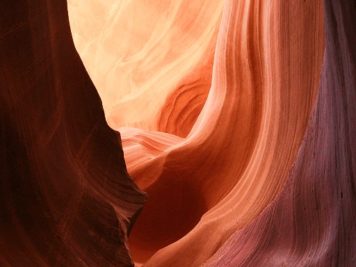 Evoto AI product interface overview