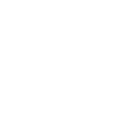 Turning insights into actions with Dicer.ai