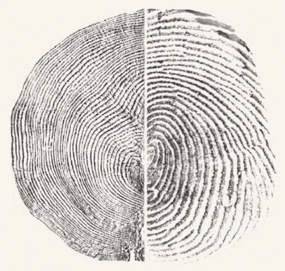 FateTell use case example - personalized guidance