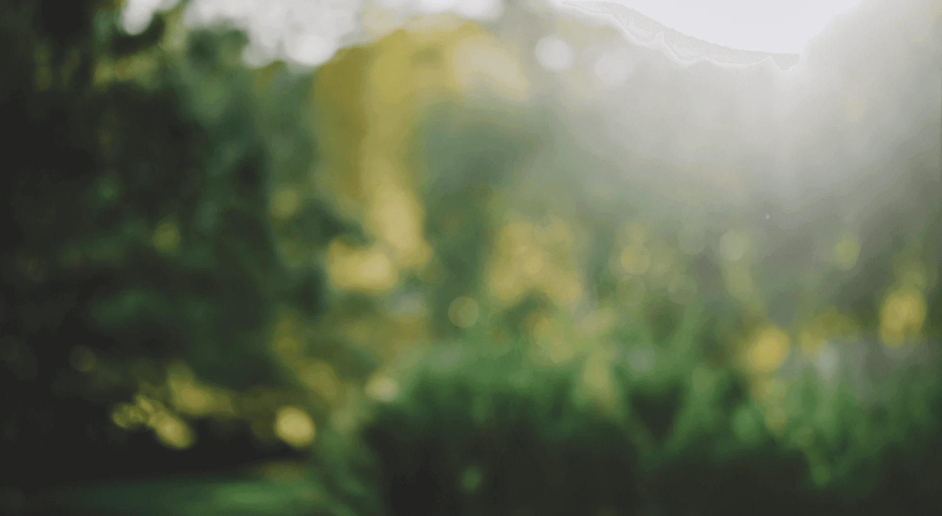 Empathy product overview showing support for life's transitions