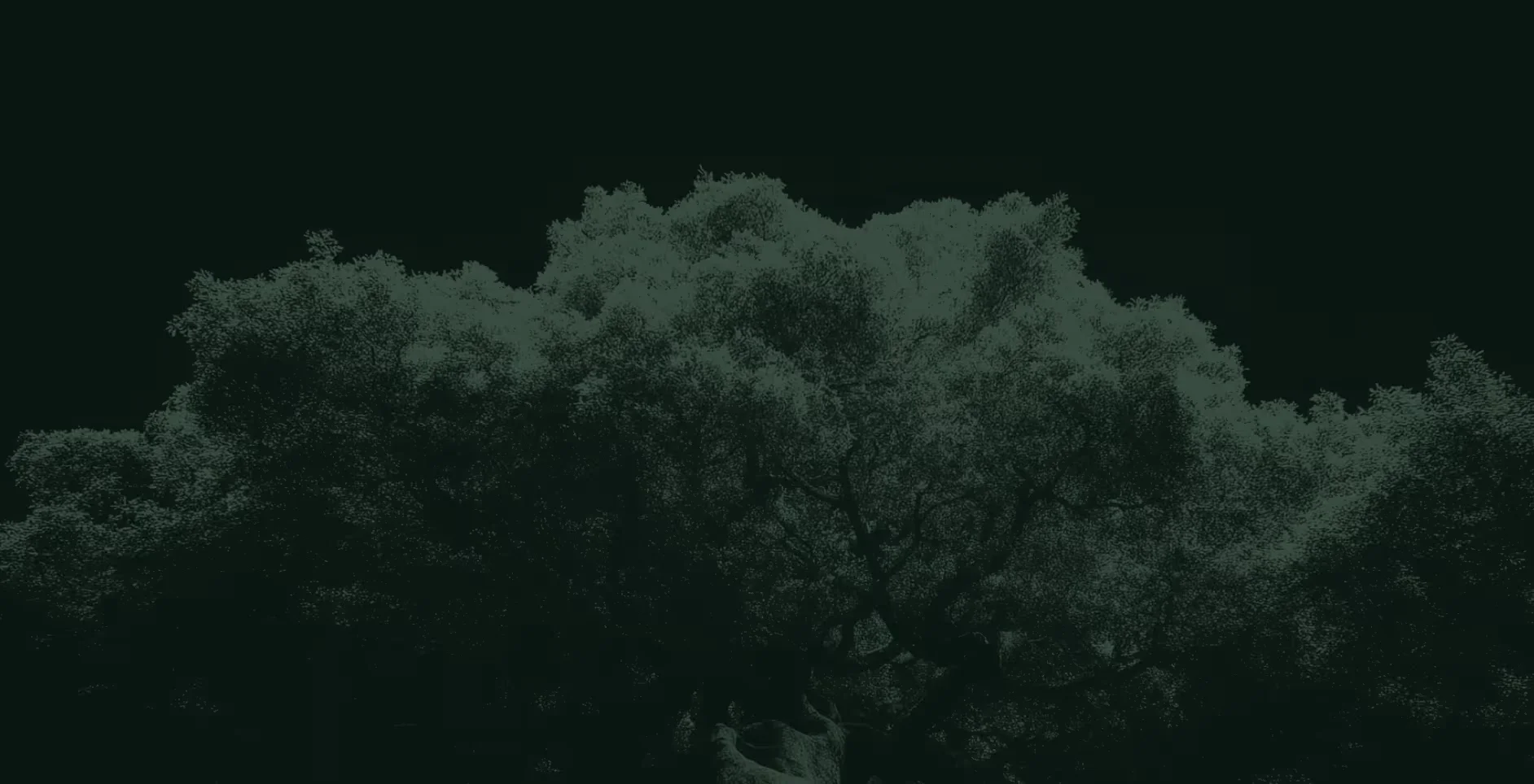 FLUX.2 Pro product overview