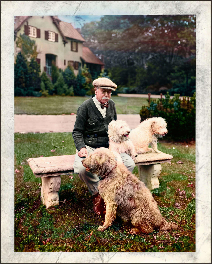 Foreviai operation interface