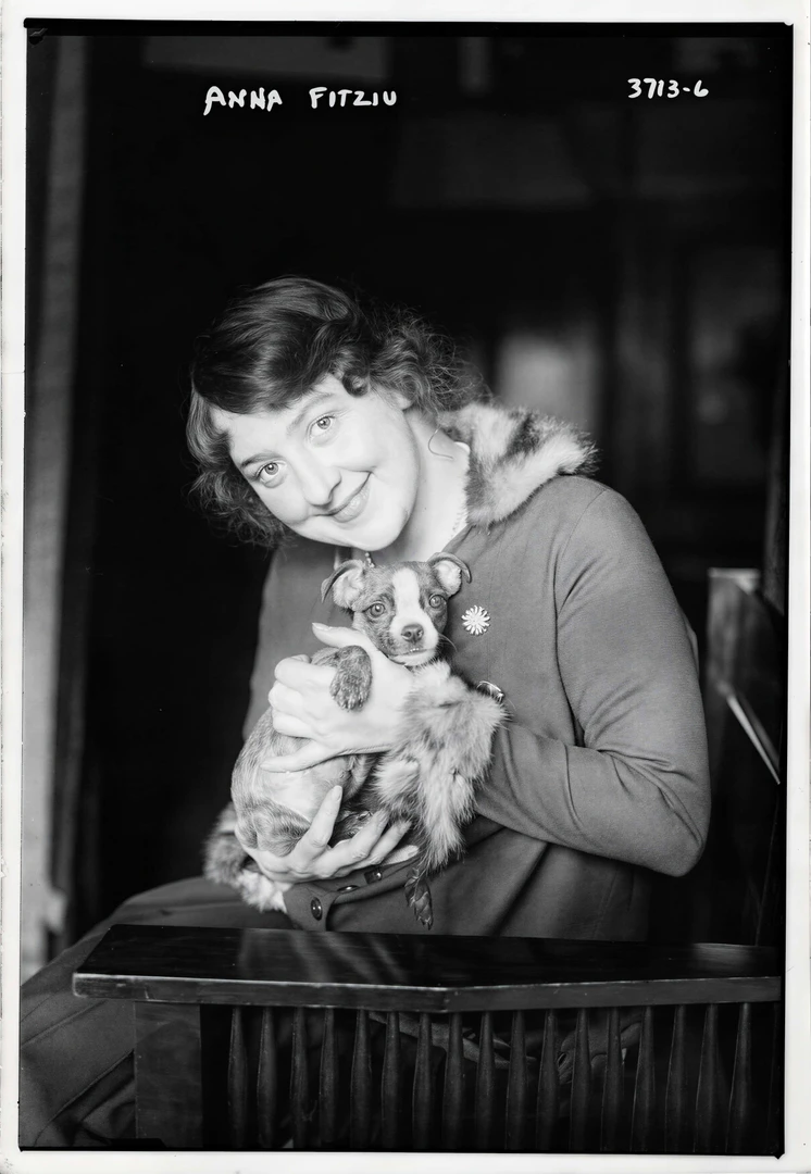 Foreviai use case example