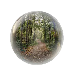 Pickle I real application scenario