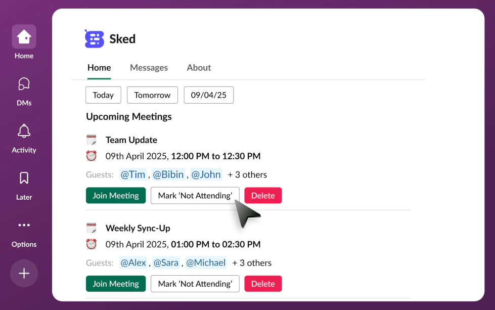 Sked meeting planning interface